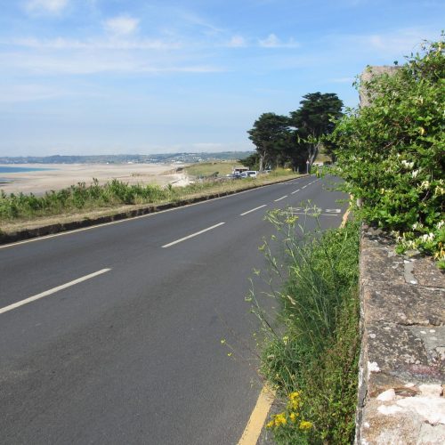 Image of 1-Fennel-at-the-south-end-of-St-Ouens-Bay-optimized